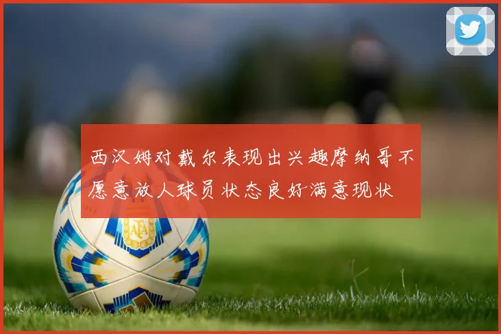 西汉姆对戴尔表现出兴趣摩纳哥不愿意放人球员状态良好满意现状