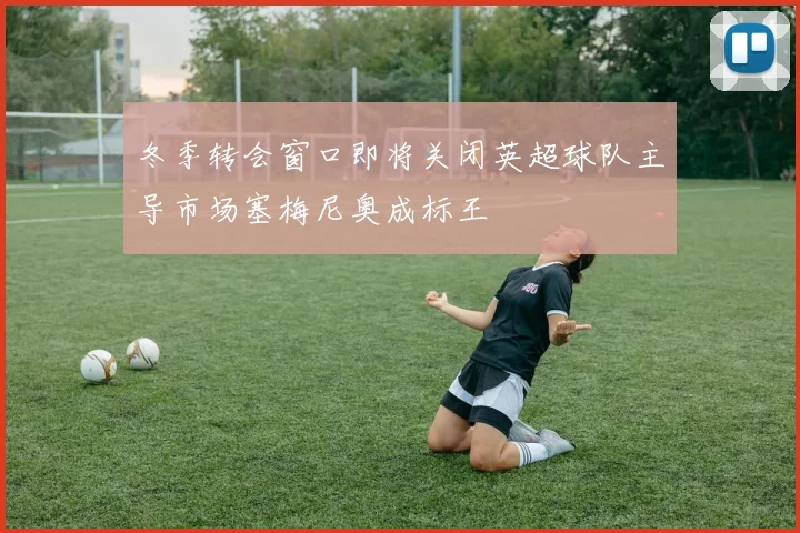 冬季转会窗口即将关闭英超球队主导市场塞梅尼奥成标王